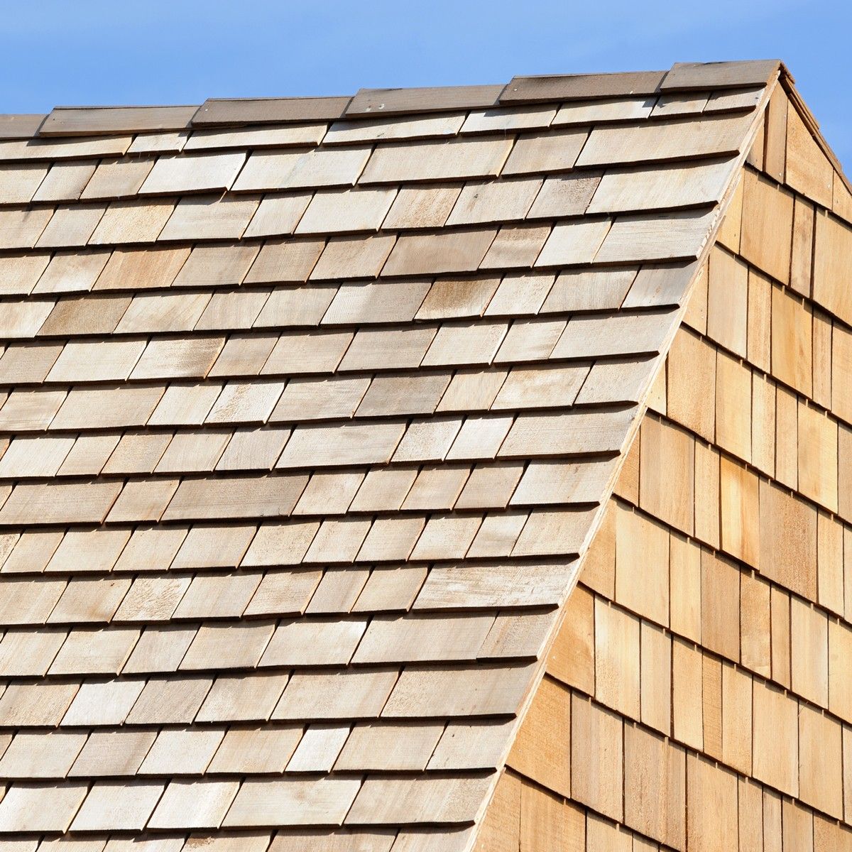 Shingles cladding shakes