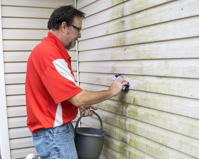 Painting aluminum siding