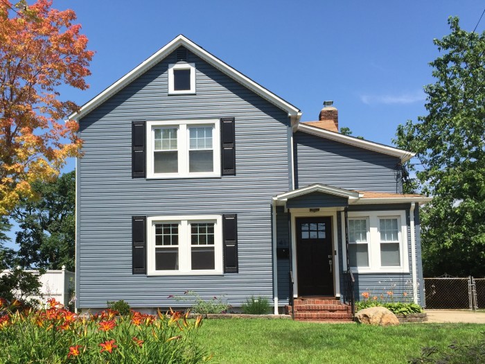 Blue vinyl siding