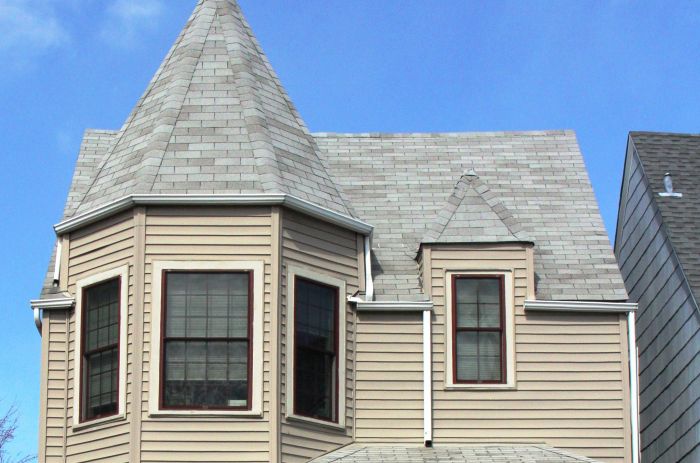 Siding certainteed gray tan vinyl desert house grey sterling colors colonial silver white homes board exterior granite ash wicker savannah